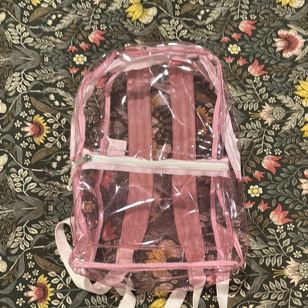 Urban Outfitters Pink Clear Backpack
